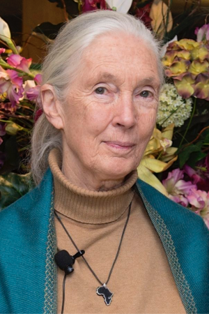 Jane Goodall