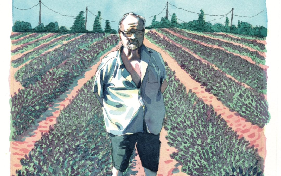 Deuxième partie : perdre le combat, 16 centimes à la fois