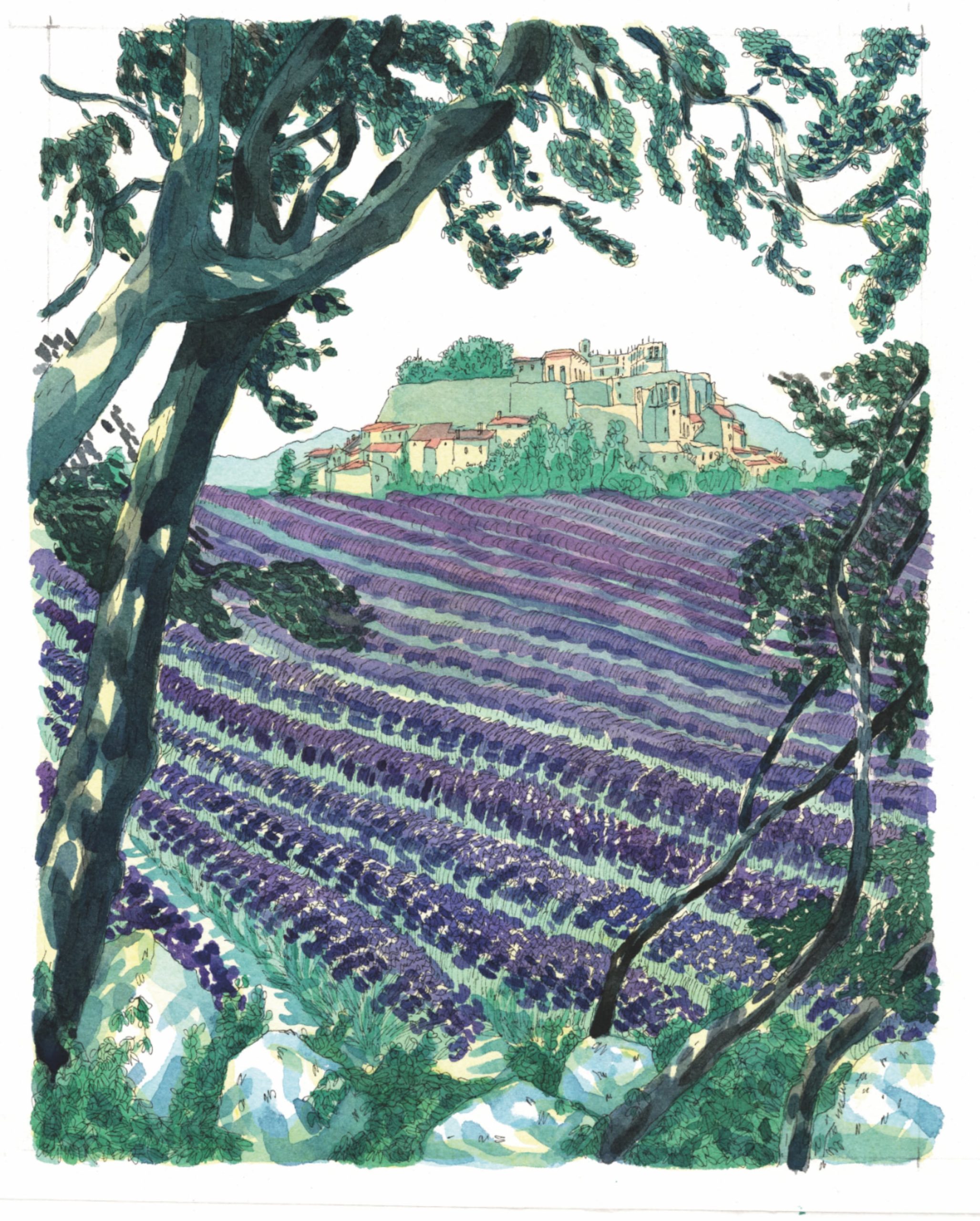 lavande paysage